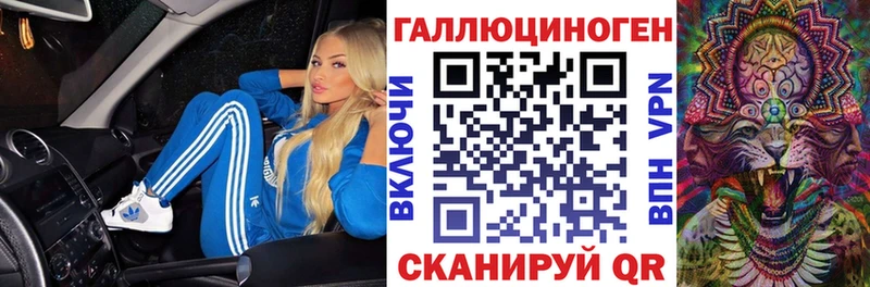 shop как зайти  Курганинск  Галлюциногенные грибы Cubensis  kraken рабочий сайт 